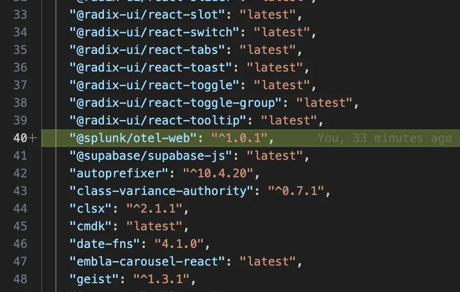 package.json